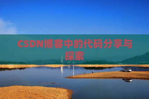 CSDN博客中的代码分享与探索